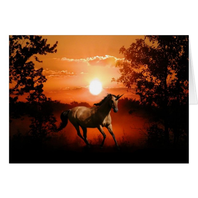 Sunrise unicorn (Voorkant Horizontaal)
