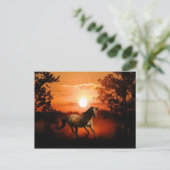 Sunrise Unicorn Briefkaart (Staand voorkant)