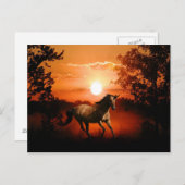 Sunrise Unicorn Briefkaart (Voorkant / Achterkant)