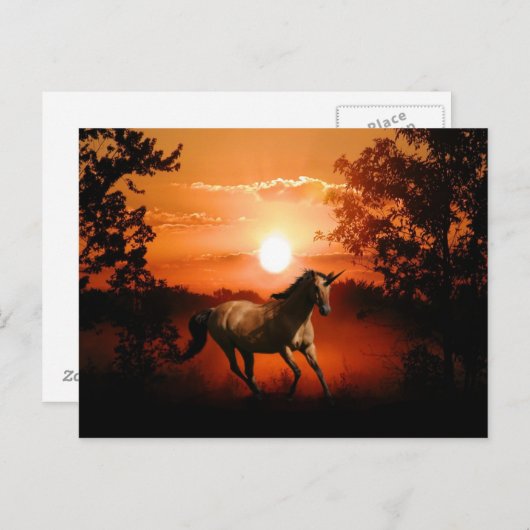 Sunrise Unicorn Briefkaart (Voorkant / Achterkant)