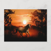 Sunrise Unicorn Briefkaart (Voorkant)