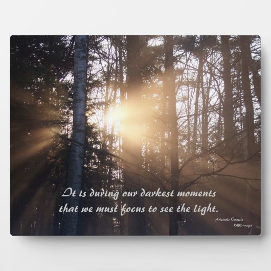 Sunrise voorbij de "Trees Plaque" Fotoplaat (Voorkant)