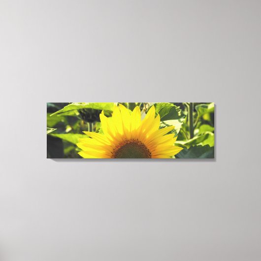 Sunrise Zonnebloem Canvas Print (36x12) (Voorkant)