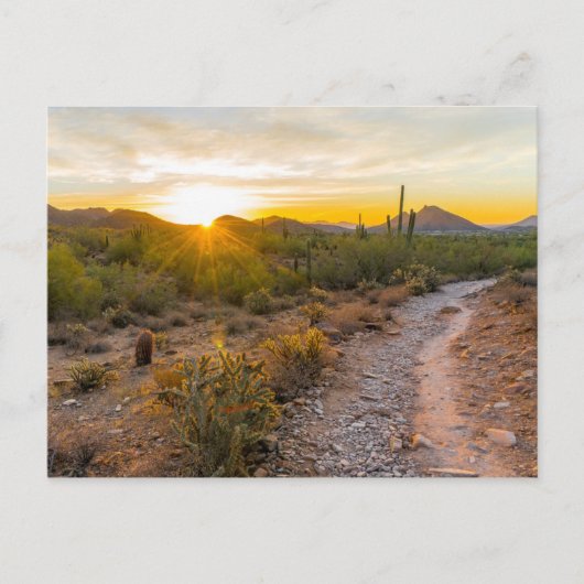 Sunrize Over Arizona Trail Briefkaart (Voorkant)