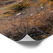 Sunrize Over Arizona Trail Poster (Hoek)