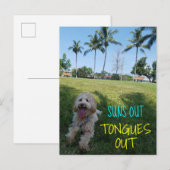 SUNS OUT TONGUES OUT2 AANKONDIGINGSKAART (Voorkant / Achterkant)