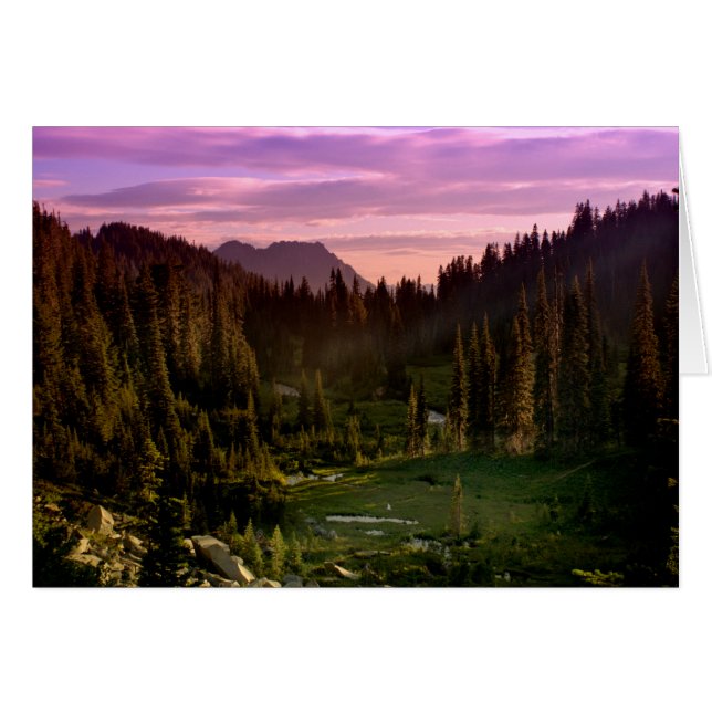 Sunset (Voorkant Horizontaal)