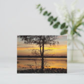 Sunset 138 Florida Post Card Briefkaart (Staand voorkant)