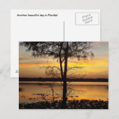 Sunset 138 Florida Post Card Briefkaart (Voorkant / Achterkant)