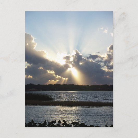Sunset 167 Florida Sunset Briefkaart (Voorkant)