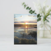 Sunset 172 Florida Post Card Briefkaart (Staand voorkant)