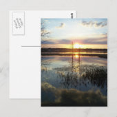 Sunset 172 Florida Post Card Briefkaart (Voorkant / Achterkant)