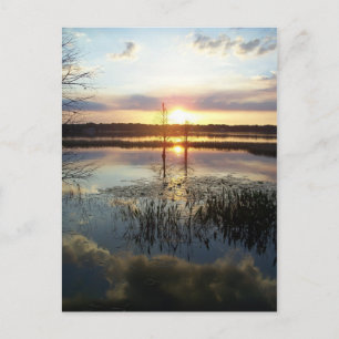 Sunset 172 Florida Post Card Briefkaart