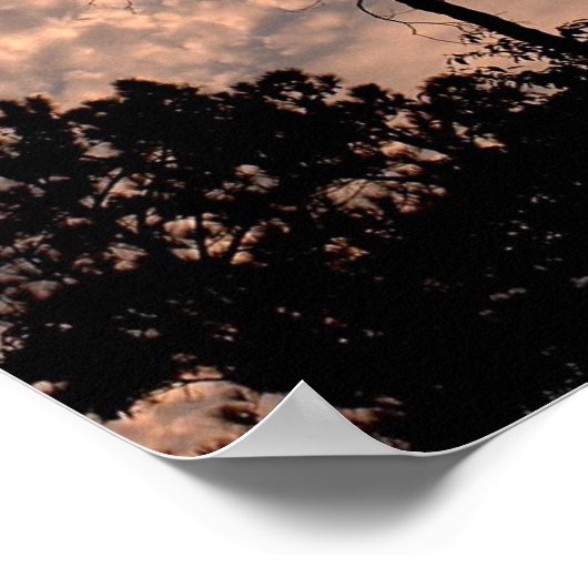 Sunset 18 poster (Hoek)
