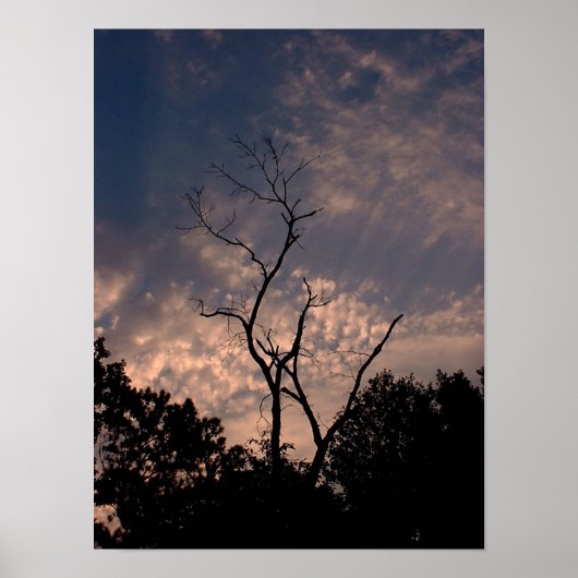Sunset 18 poster (Voorkant)