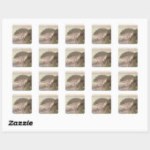 Sunset, 1916 (olie op doek) vierkante sticker (Vel)