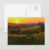 Sunset Agriculture Wheat Briefkaart (Voorkant / Achterkant)
