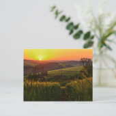 Sunset Agriculture Wheat Briefkaart (Staand voorkant)