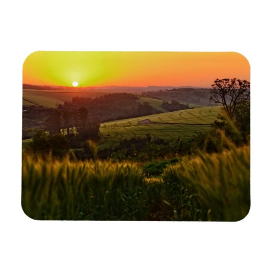 Sunset Agriculture Wheat Magneet (Horizontaal)
