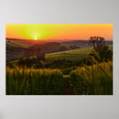 Sunset Agriculture Wheat Poster (Voorkant)