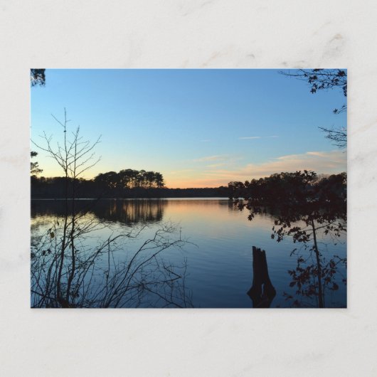 Sunset 'Almost Gone' van Shirley Taylor Briefkaart (Voorkant)