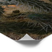 Sunset Arizona Sonoran Desert met saguaro cactus Poster (Hoek)