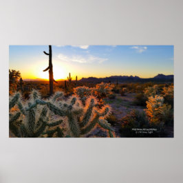 Sunset Arizona Sonoran Desert met saguaro cactus Poster