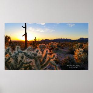 Sunset Arizona Sonoran Desert met saguaro cactus Poster