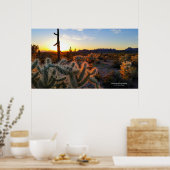Sunset Arizona Sonoran Desert met saguaro cactus Poster (Keuken)