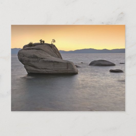 Sunset at Bonsai Rock, Lake Tahoe... Briefkaart (Voorkant)