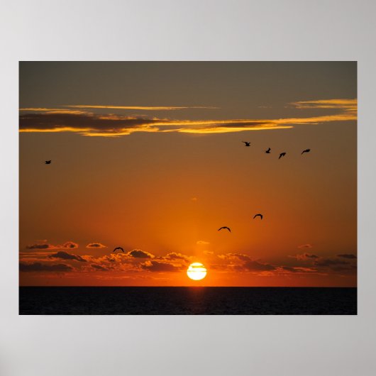 Sunset at Cayeux sur Mer in France Poster (Voorkant)