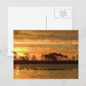 Sunset at Chincoteague Briefkaart (Voorkant / Achterkant)