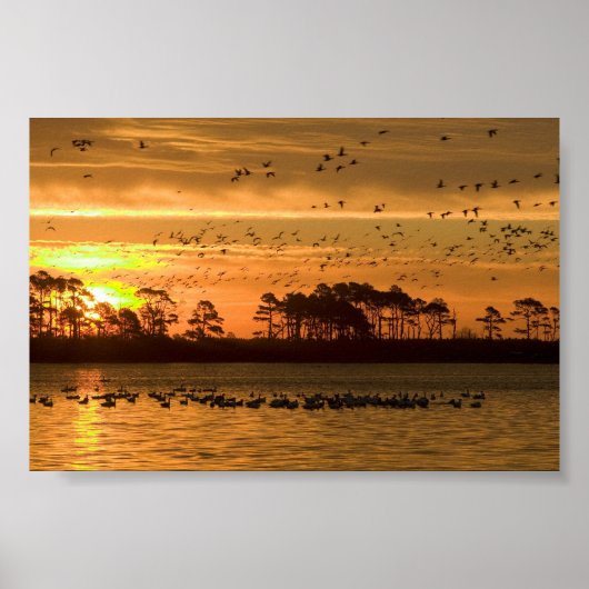 Sunset at Chincoteague Wildlife Refuge Virginia Poster (Voorkant)