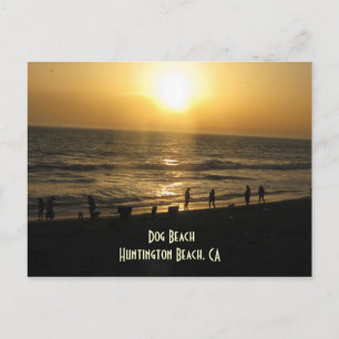 Sunset at Dog Beach Briefkaart