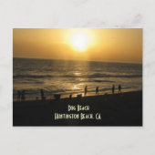 Sunset at Dog Beach Briefkaart (Voorkant)
