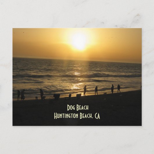 Sunset at Dog Beach Briefkaart (Voorkant)