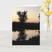 Sunset at Hoefijzer Bend All Occasions Kaart (Gele Bloem)