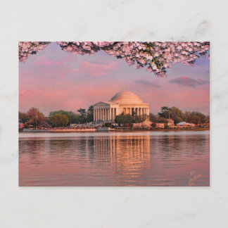 Sunset at Jeferson Memorial with Cherry Blossoms Briefkaart