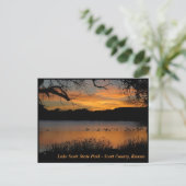 Sunset at Lake Scott State Park - Gese op Lake Briefkaart (Staand voorkant)