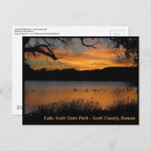 Sunset at Lake Scott State Park - Gese op Lake Briefkaart (Voorkant / Achterkant)