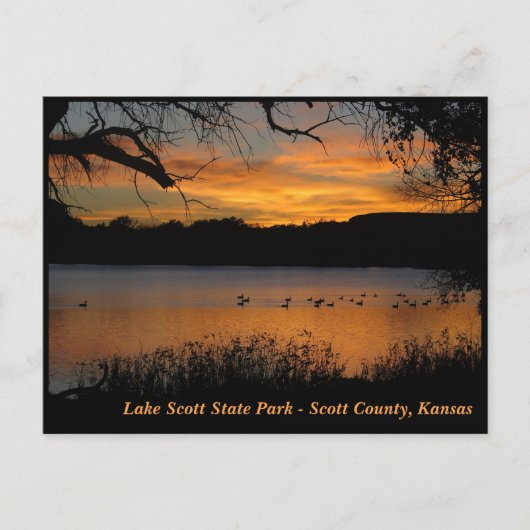 Sunset at Lake Scott State Park - Gese op Lake Briefkaart (Voorkant)