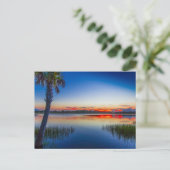 Sunset at Lake Zobel, Fort Pierce, Florida Briefkaart (Staand voorkant)