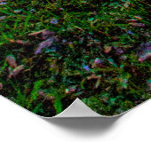 Sunset at Lake Zobel, George LeStrange Preserve Poster (Hoek)