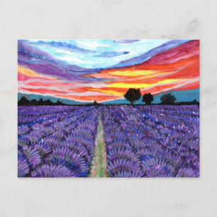 Sunset at Lavender Field Briefkaart