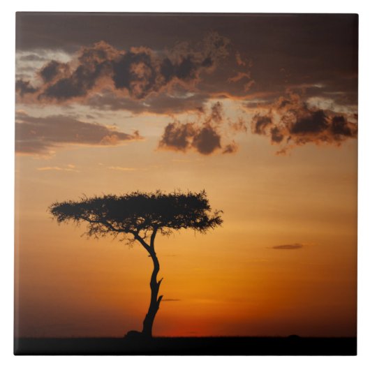 Sunset at Masai Mara Tegeltje (Voorkant)