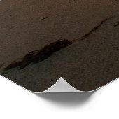 Sunset at Monterey, California's Pacific Coast Poster (Hoek)