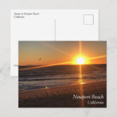 Sunset at Newport Beach, Californië Briefkaart (Voorkant / Achterkant)