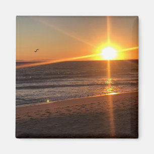 Sunset at Newport Beach, Californië Magneet