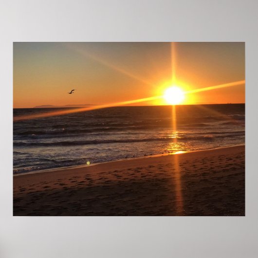 Sunset at Newport Beach, Californië Poster (Voorkant)
