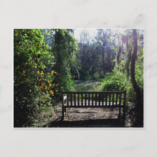 Sunset at Phinizy Swamp Park Augusta, GA Briefkaart